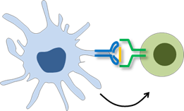 immunity