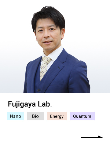 Fujigaya Lab.