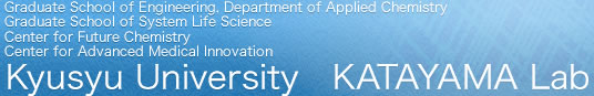 Kyusyu University KATAYAMA Lab